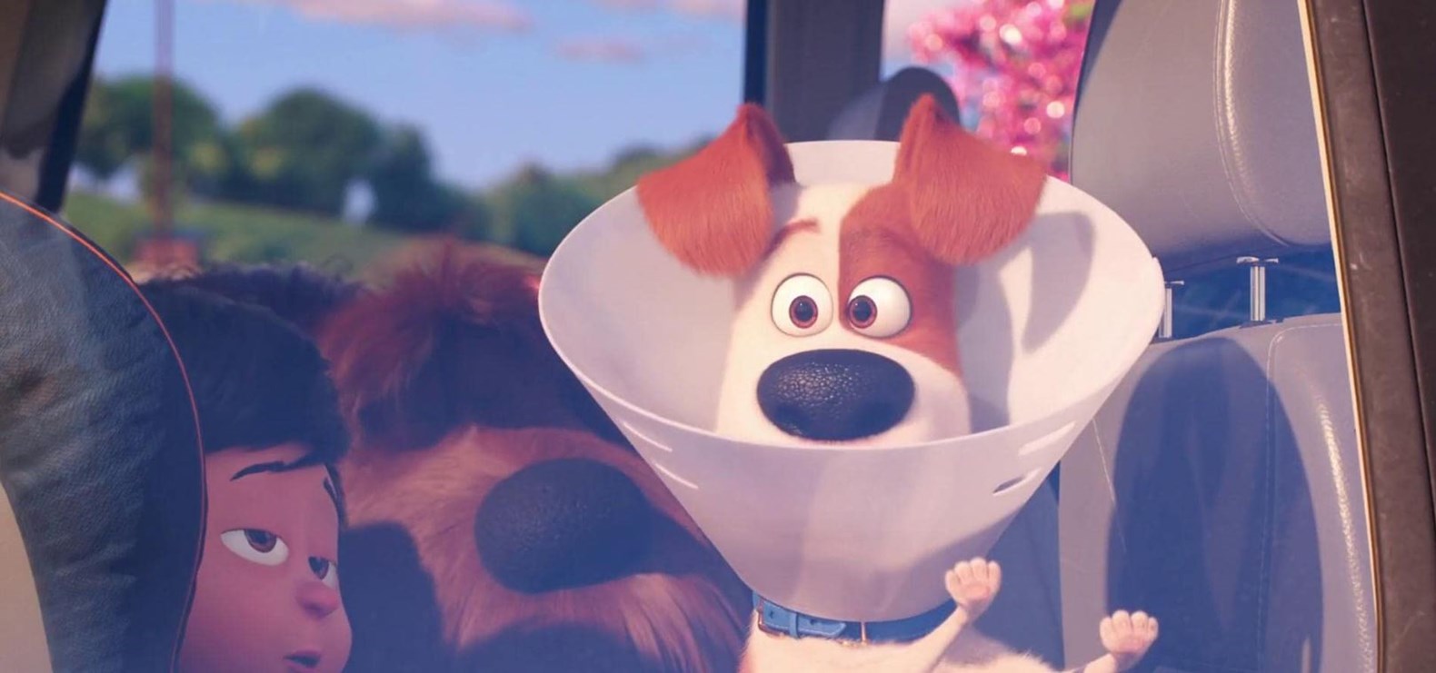 Image for The Secret Life of Pets 2