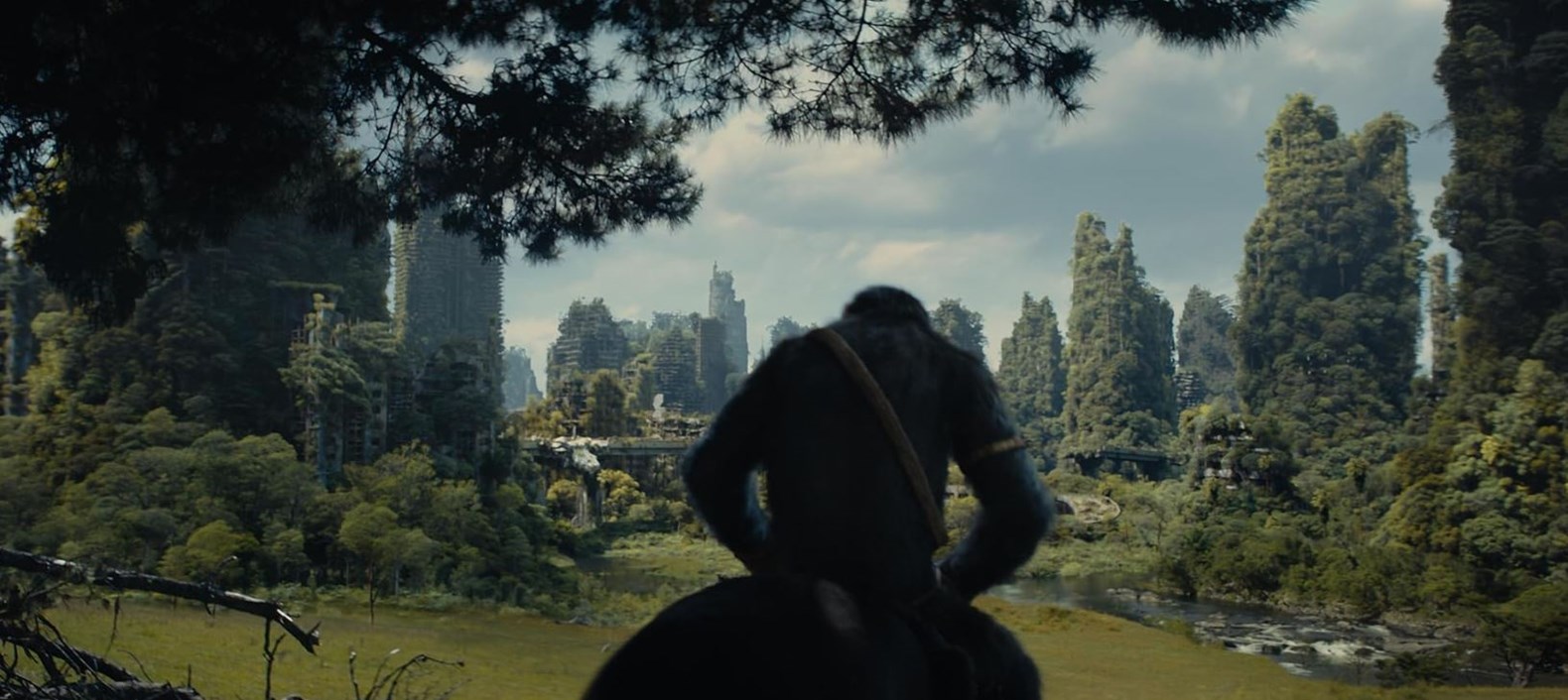 Image for Kingdom of the Planet of the Apes